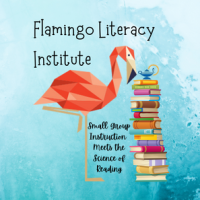Flamingo Literacy Institute