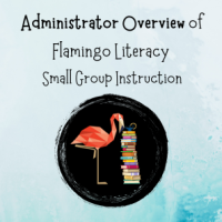 Administrator Overview of Flamingo Literacy Small Group Instruction