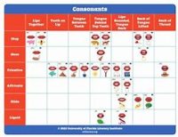 UFLI Sound Wall Science: Moving Past Compliance