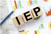 Developing Individualized Education Plans (IEP) for Pre-Kindergarten Students